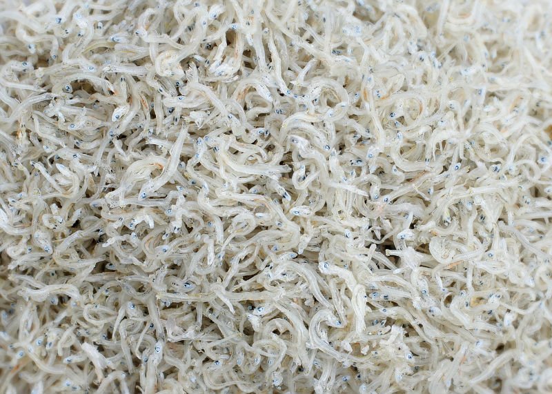 Dried Anchovies