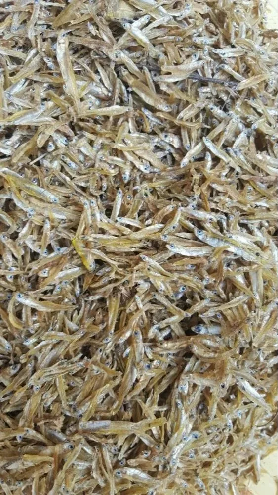 Silver A.S Anchovey Dried Kiski Fish, 3 Months, Packaging Type: Jute Bag