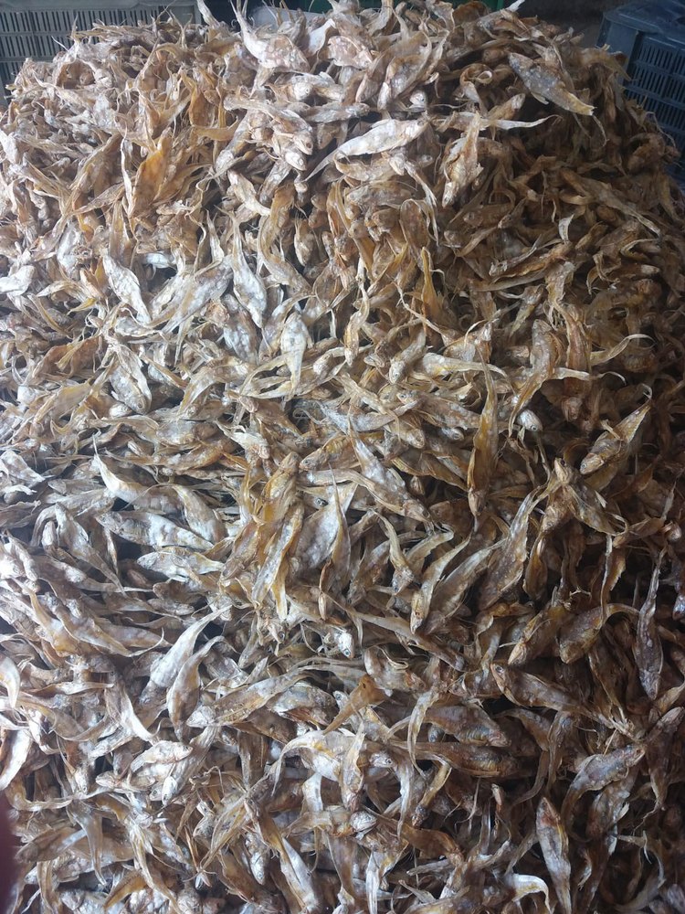 Dried Anchovies Dry Fish, For Household, Packaging Type: Loose
