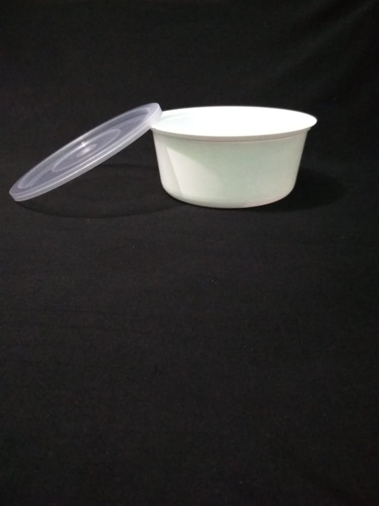 Plastic Disposable Food Packaging Container