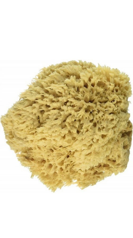 tia brown T0059 SEA SPONGE, .75gm, Packaging Type: Box