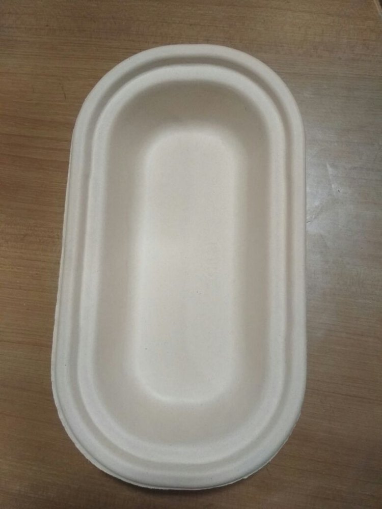 Sugarcane Pulp Bagasse 500 ML Container