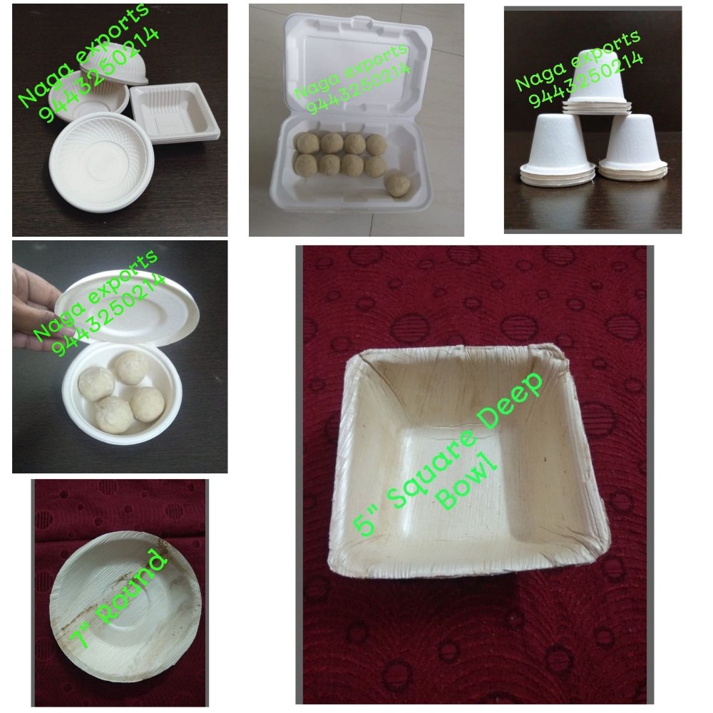 Naga Exports Sugarcane baggasse material 650 ml Sugancane Baggase Container