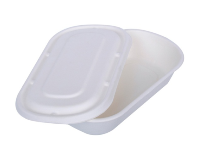 White 500 ML Deveuro Bagasse Rectangular Container
