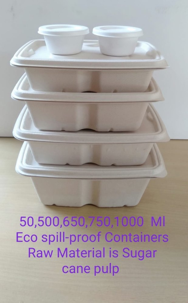 Chuck sugarcane bagasse Rectangular container with lid 500ml, For Event and Party Supplies