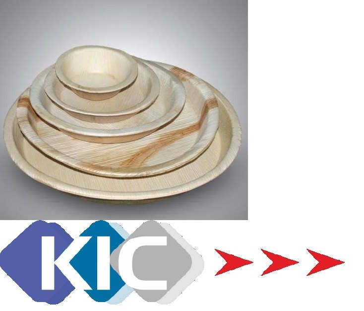 Size/Diameter: 10 Inch Areaca Leaf Plate