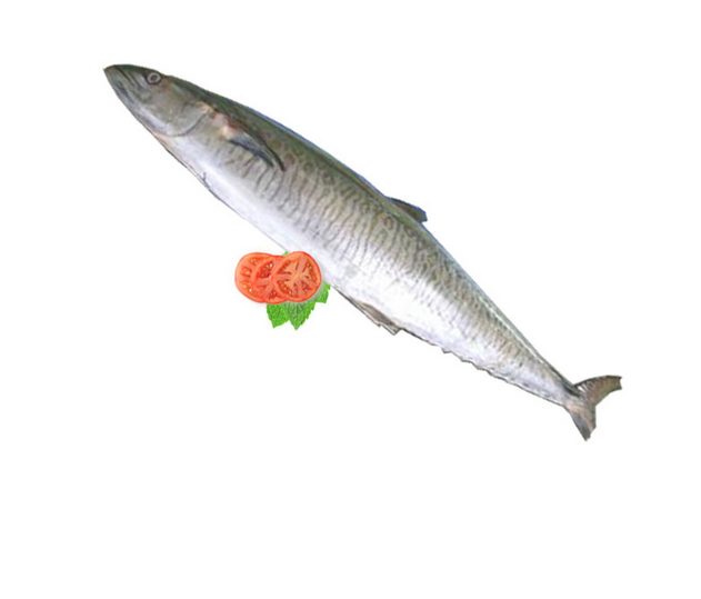Seer Fish Steak