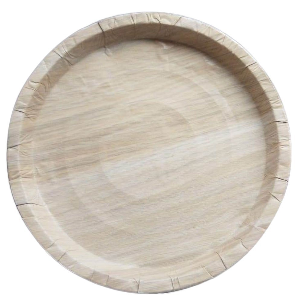 11 Inch Mica Paper Disposable Plate