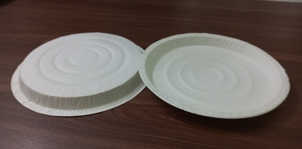 8inch White Plain Paper Plate