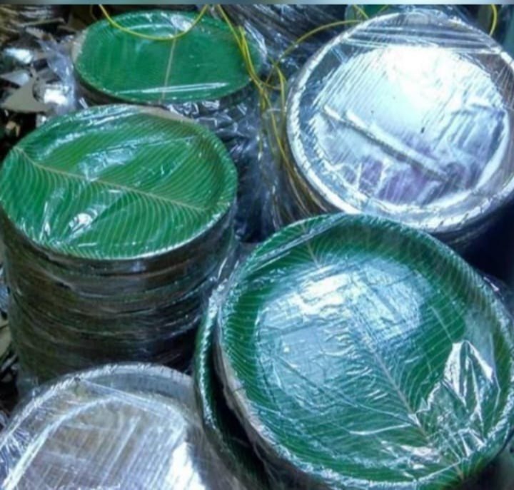 13 Inch Buffer Printed Paper Plates