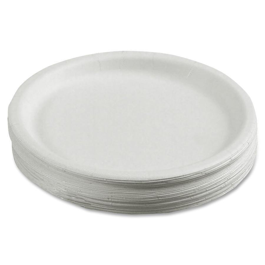 Disposable Paper Plate