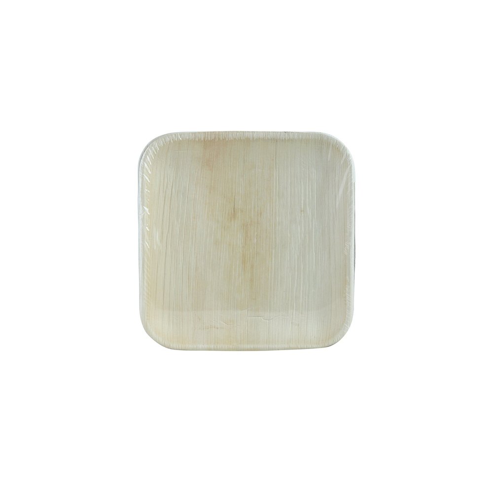 Natural ARECA LEAF PLATES 10X10 GLMSS10, For Event and Party Supplies, 25