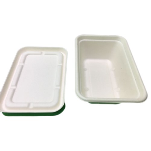 Rectangular Sugarcane Meal Box