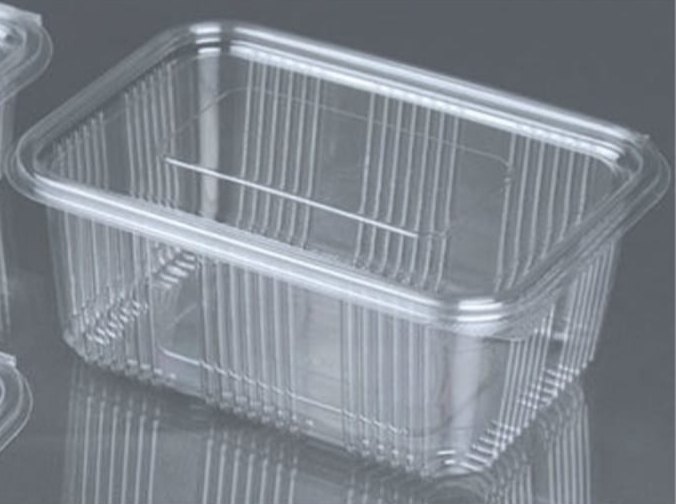 Pet Transparent Hinged box 1000ml, For Bakery & Sweets