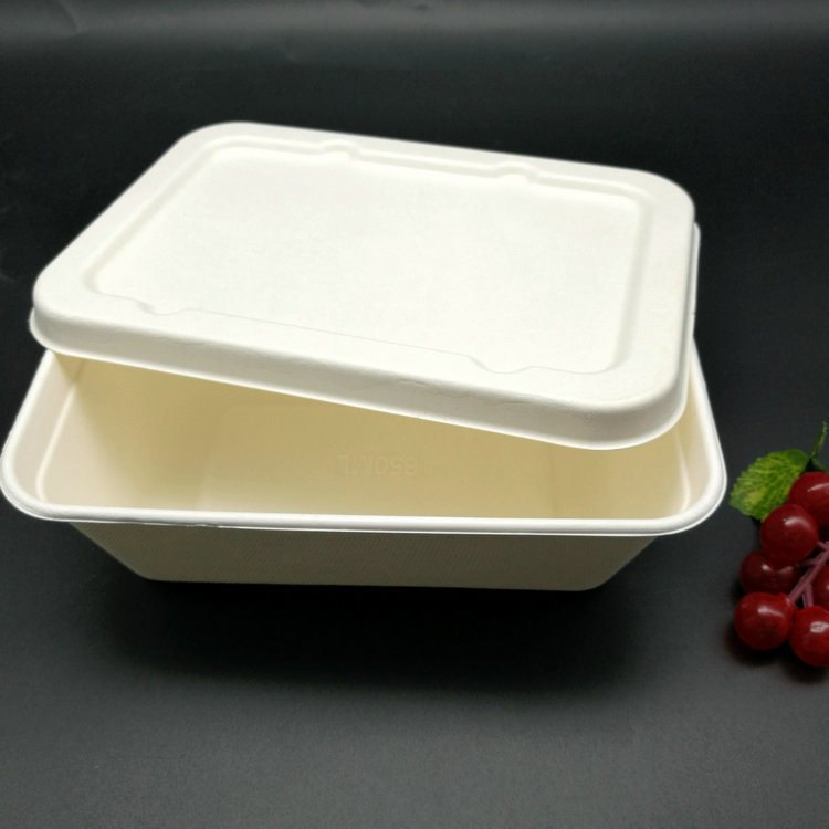 Sugarcane Fiber White 650 ml Rectangular Box With Lid, for Event and Party Supplies