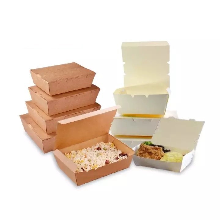 Paper Multicolor Disposable Food Parcel Boxes