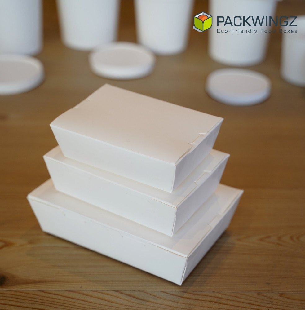 Paper Lunch Box