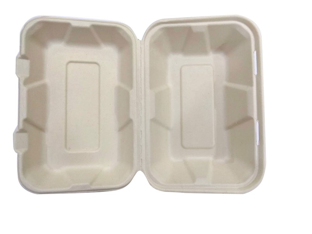 Sugar Cane Bagasse White Disposable Food Packaging Box, Size: 9x6 Inches