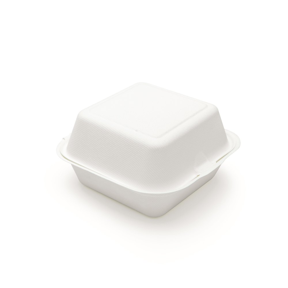 Takeaway Disposable Food Box - Burger Box - 100% Bio Degradable And Compostable