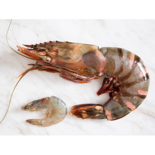 King Prawn Black Tiger, Packaging Type: Thermocol Box