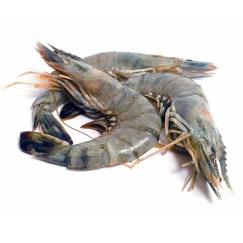 Fresh Large King Prawn, Packaging Type: Thermocol Box