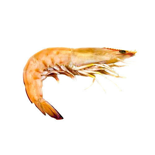 Fresh King Prawn