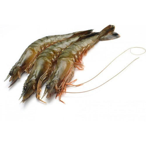 Frozen King Prawn, Packaging Type: Ld Cover