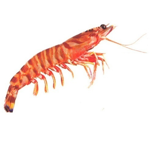 Flower Prawn, Packaging Type: Carton And Thermocol Box