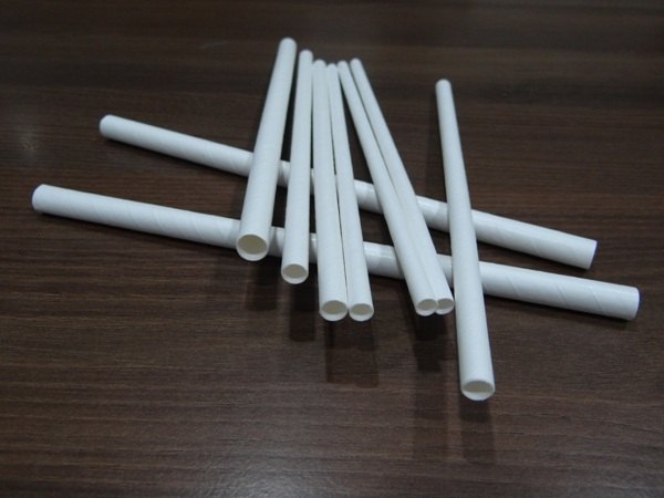 White Drinking Paper Straws, For Event and Party Supplies, 10 Pcs