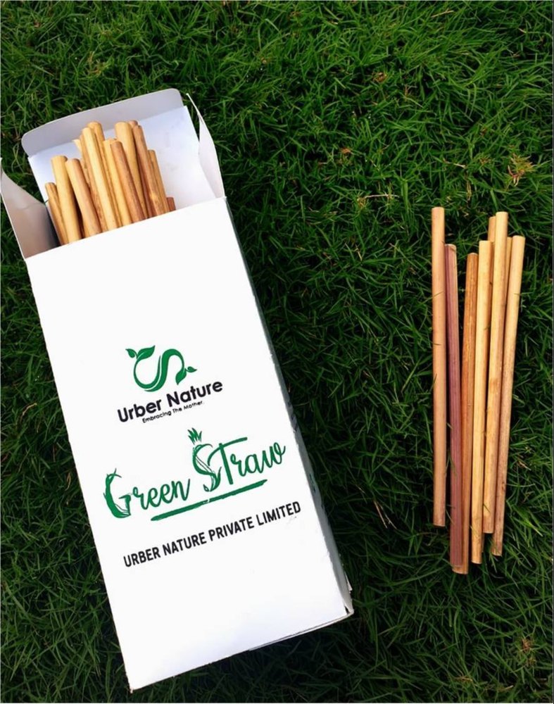 Urber Nature Natural 18 CM Long - 6 mm DIA (GREEN STRAW ), 40piece, Size: 8inch (length)