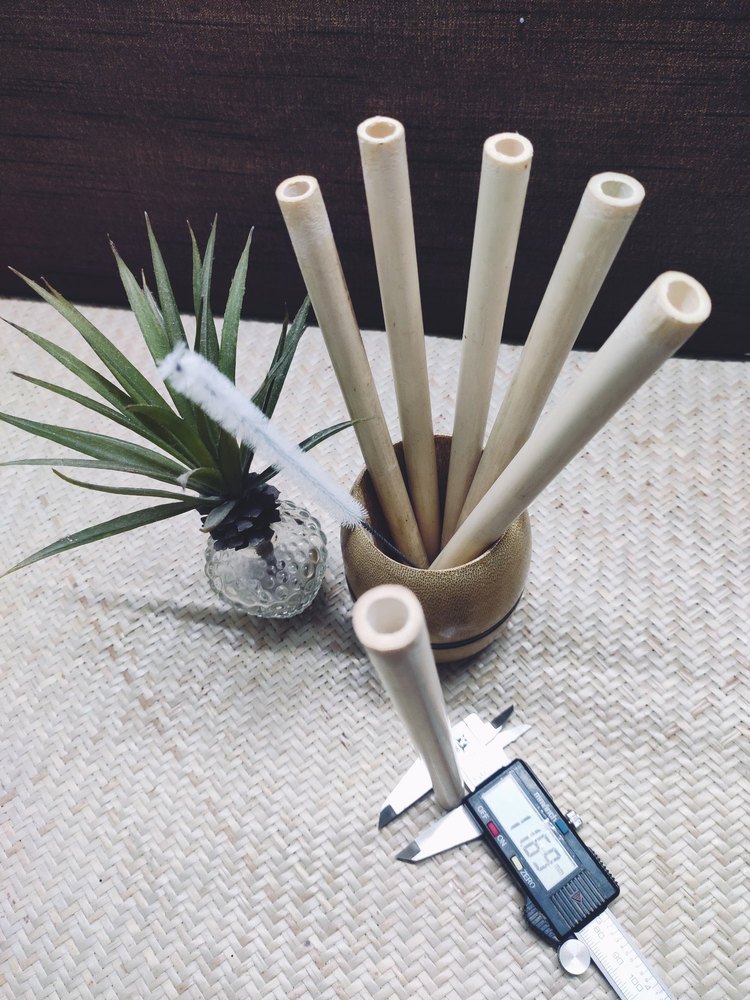 dagna wooden bamboo straws, For drinking