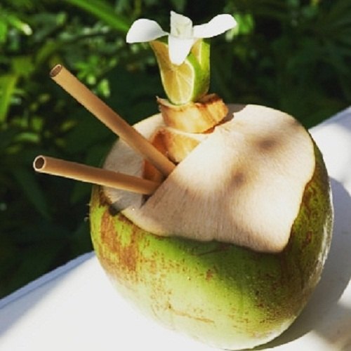 Valuearth Brown Reusable Bamboo Straw for Event And Party Supplies