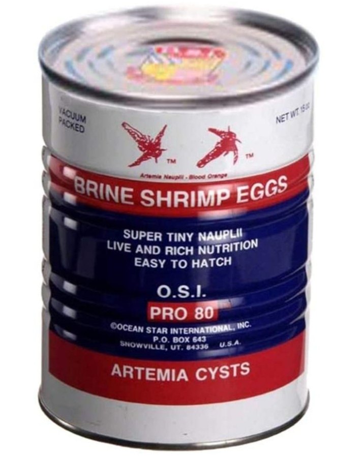 Osi Yellow Ring Brine Shrimps Eggs Sale At Mumbai Joe Aqua World