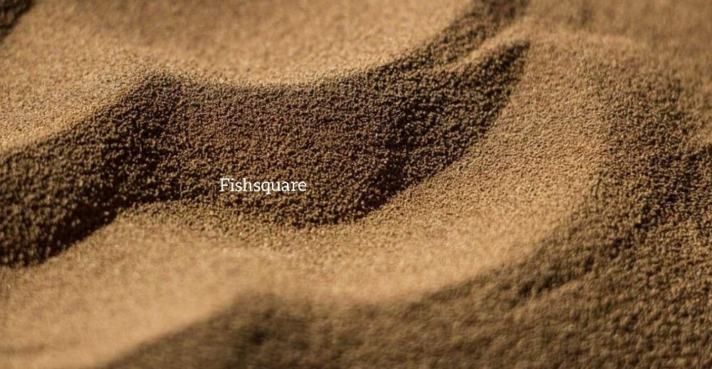 Pa Brine Shrimp Cysts /Artemia Eggs (Fishsquare)