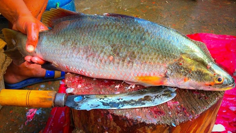 Silver Boneless Betki Fish, For Food purpose, Box