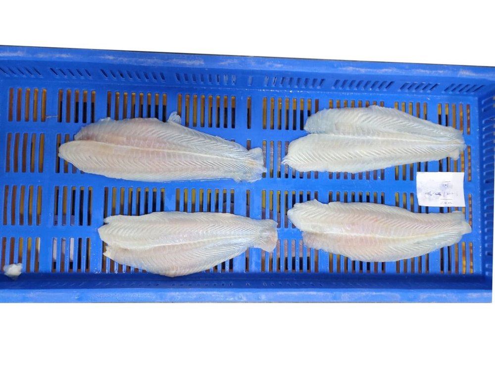 Import Basa Fish Fillet, For Restaurant