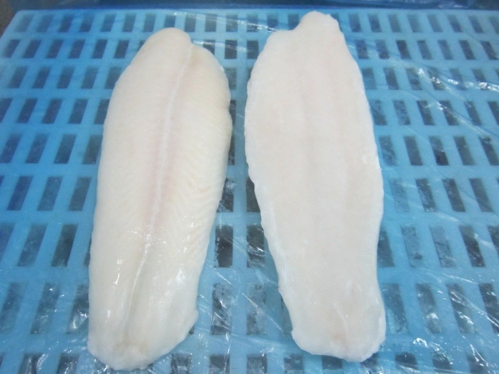 Pangasius Fillet Frozen
