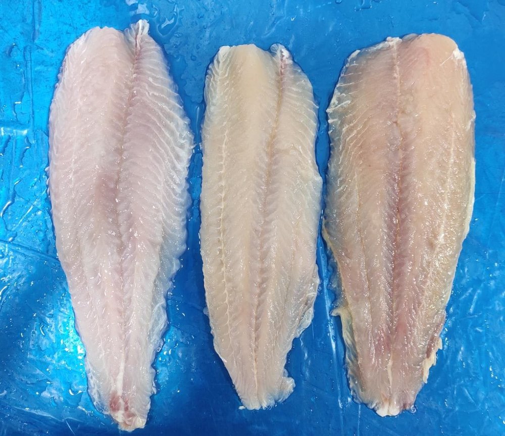 Frozen Basa Fillet, Packaging Size: 5KG, -5