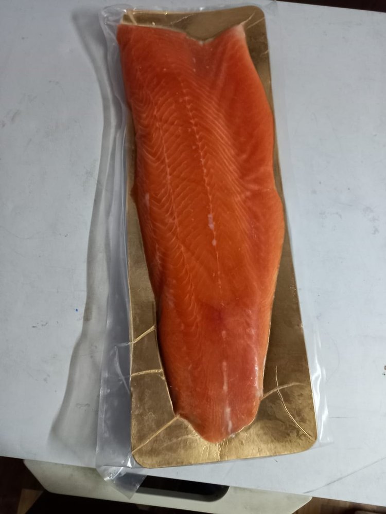 Frozen Norwegian Salmon Fillet, Packaging Type: Airtight With Cardboard