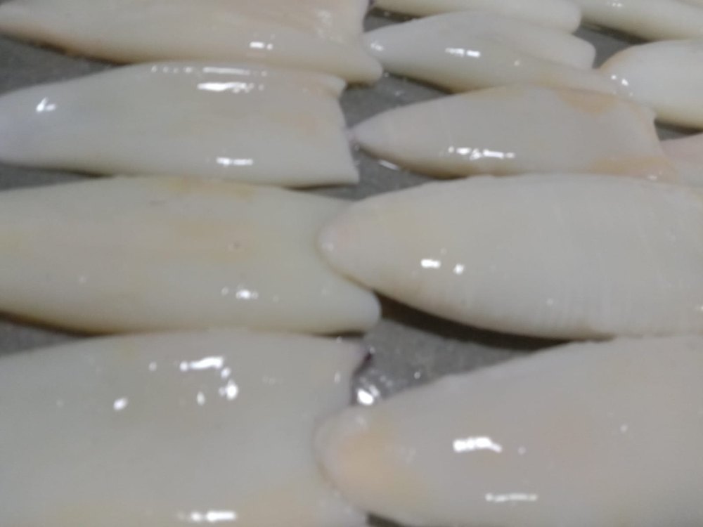 White Frozen Fish Fillet