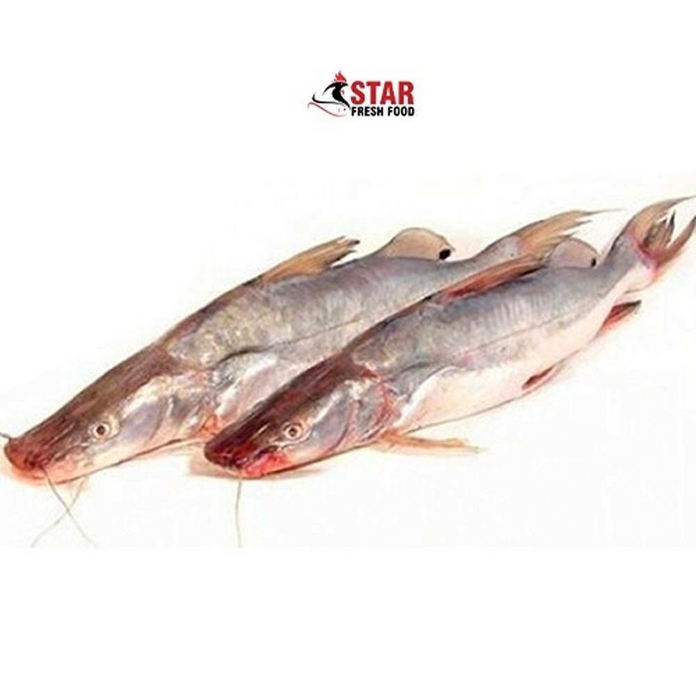 Frozen Singhara Fish, For Food