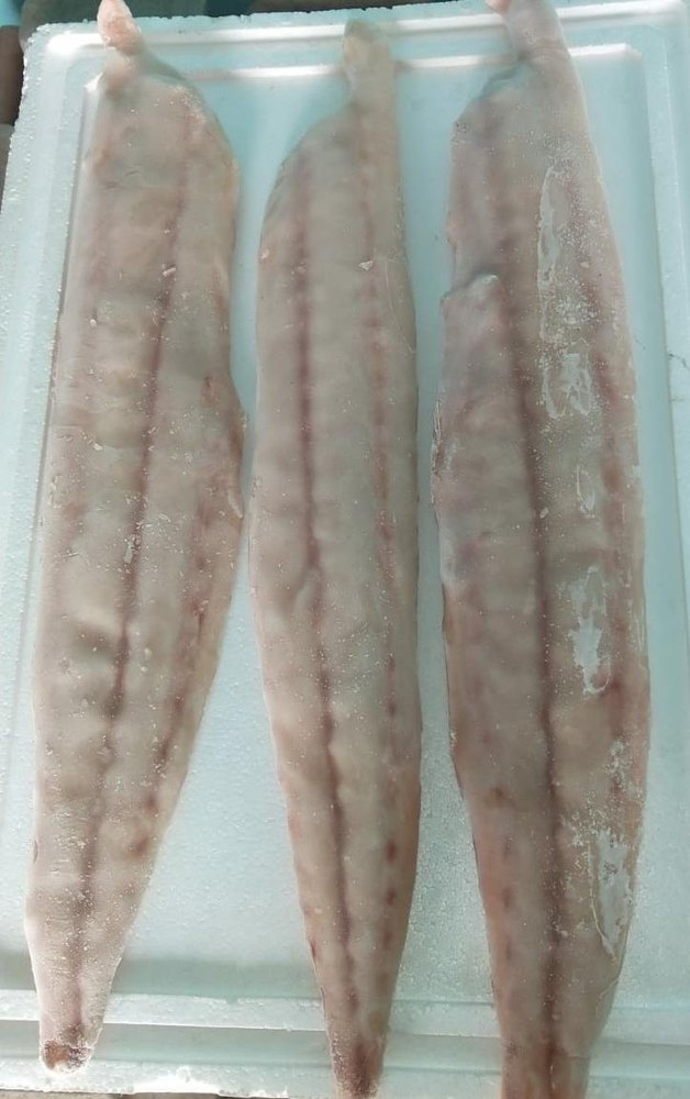 Frozen Mahi Fish Fillet, For Restaurant, 5 Kg