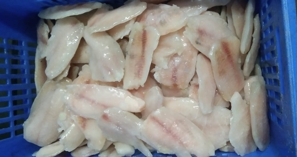 Frozen Tilapia Boneless Fish Fillet, For Household, Packaging Type: Airtight Packaging
