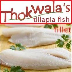Tilapia Fish Fillets For Restaurant And Mess