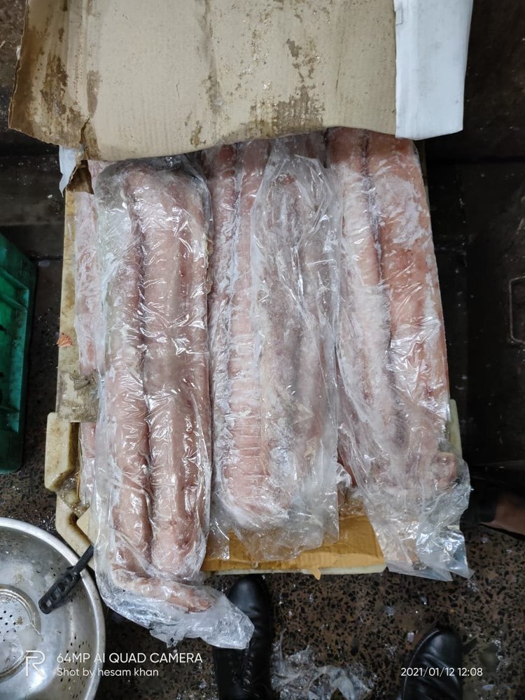 Mahi mahi fish fillets, For Restaurant, Packaging Type: Packet