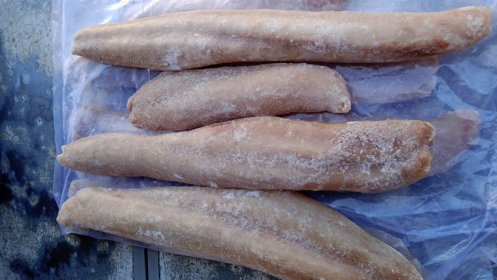 Frozen Mahi Mahi Fish Fillet, Packaging Type: Loose