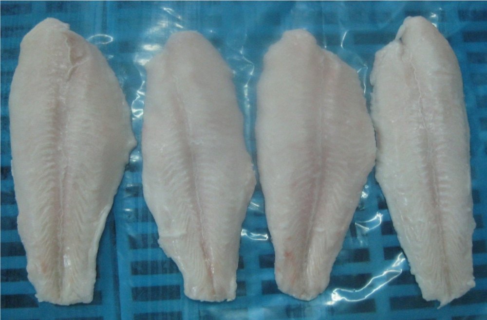Cambay Tiger Vietnam Basa (Pangasius) For Restaurant