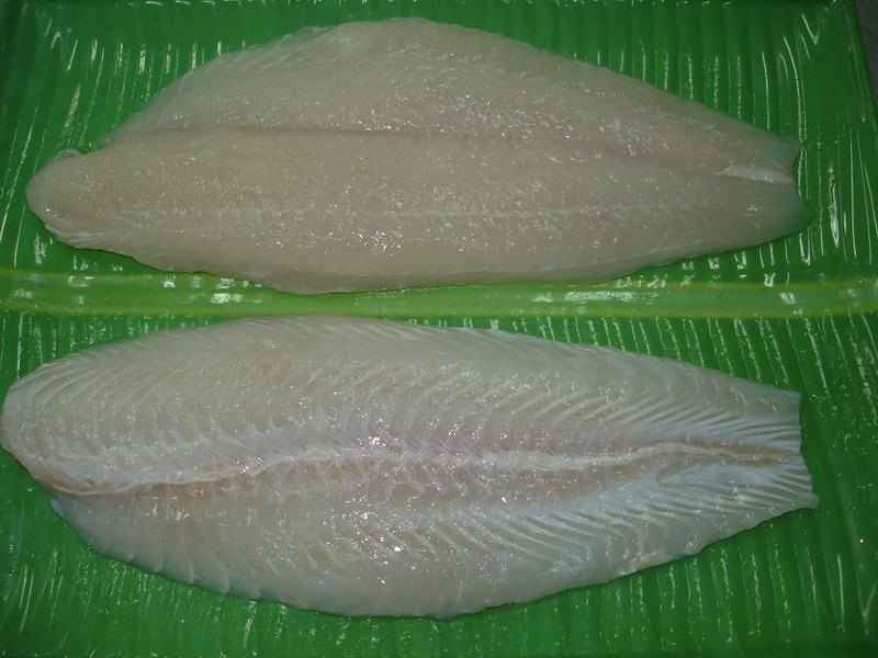 Frozen Pangasius Fillet from Vietnam (Well-Trimmed, Semi-Trimmed, Untrimmed)