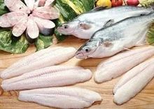 Pangasius Hypophthalmus/Basa Fillet