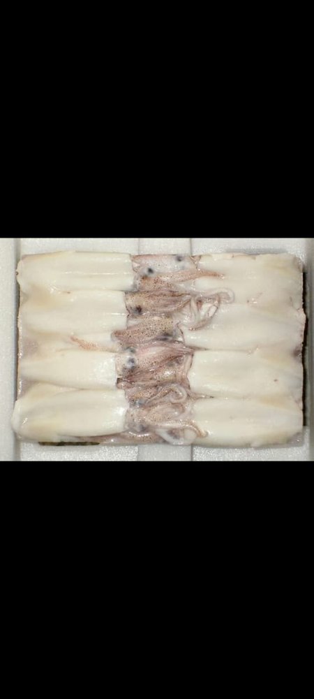 Frozen Squid, For customos